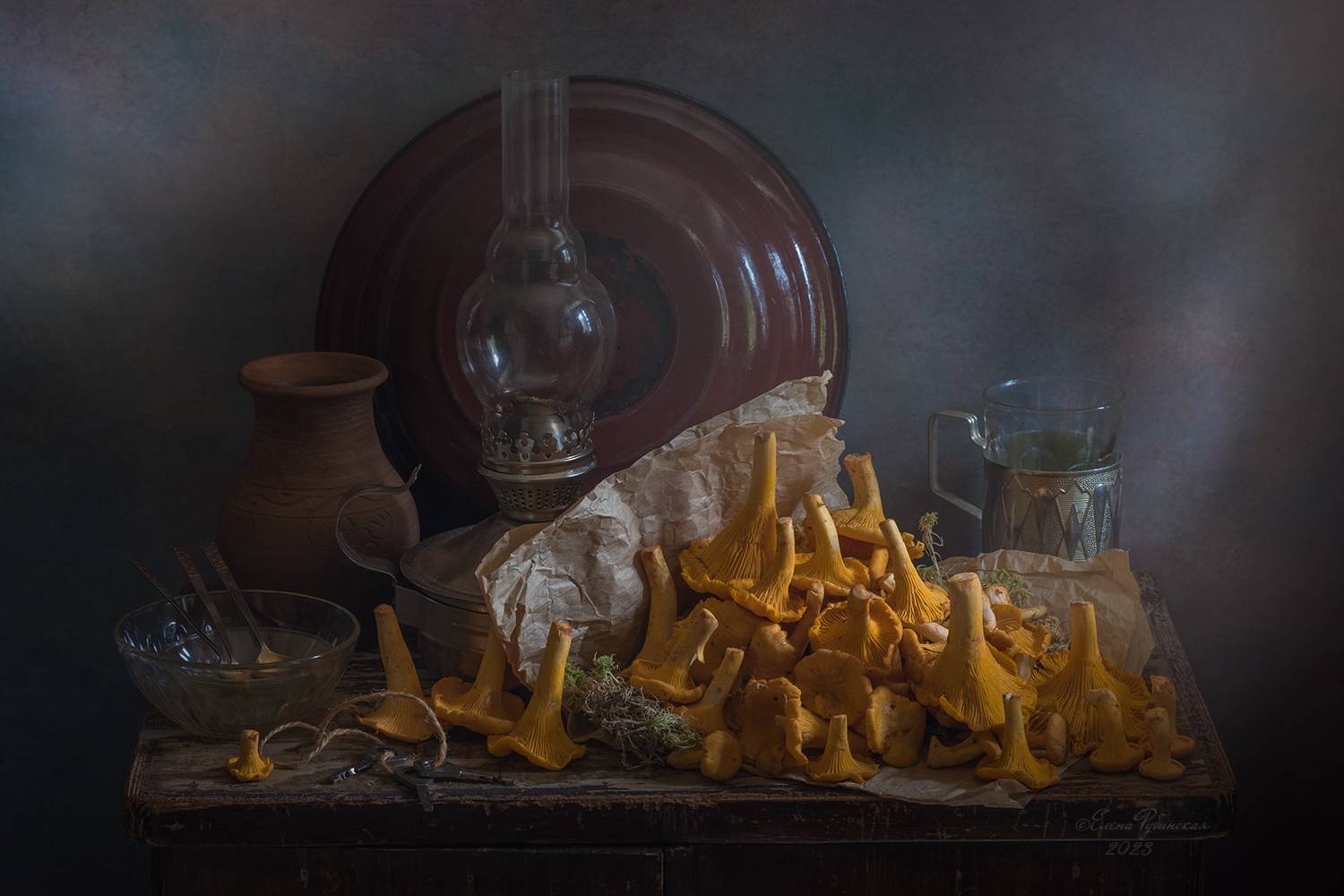 лисички, кострома, Елена Рубинская