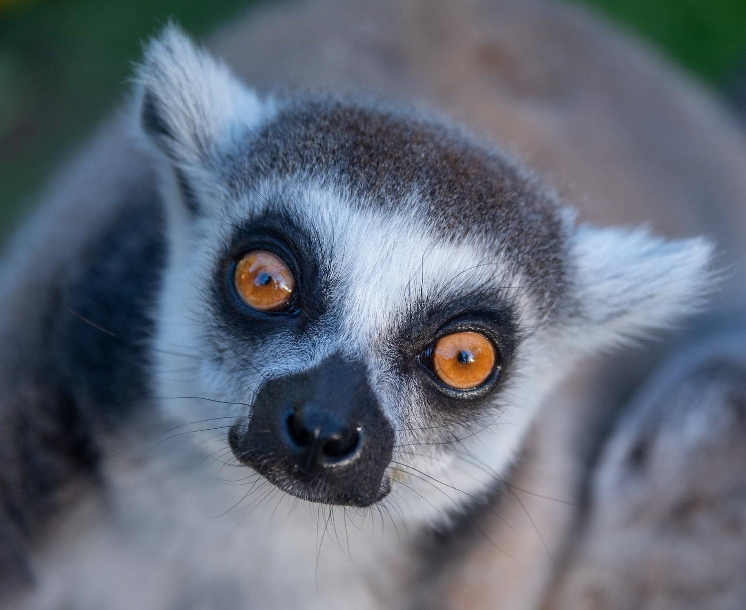 , Владимир Брагилевский