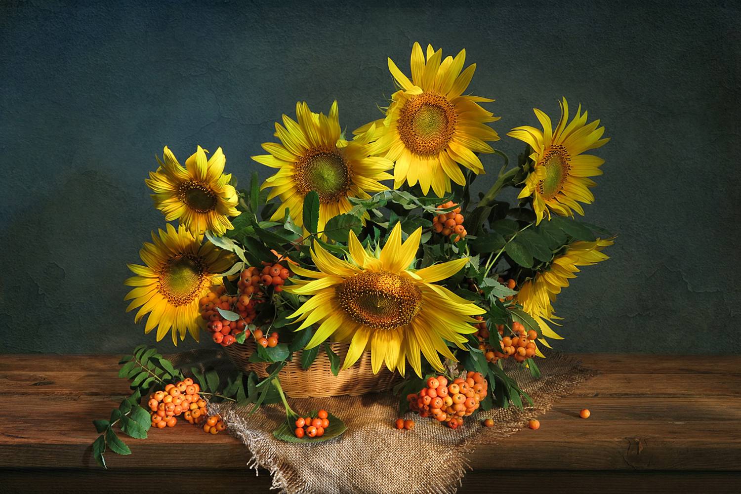 натюрморт,корзина,подсолнухи,рябина,мешковина, Алла Шевченко