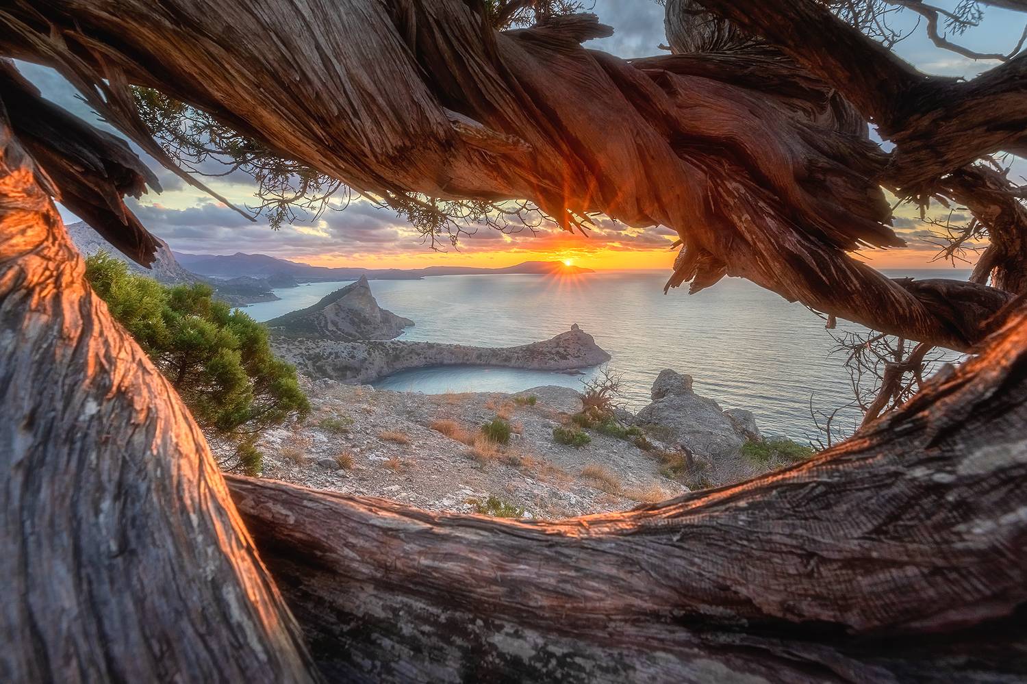 , Александр Пашеничев