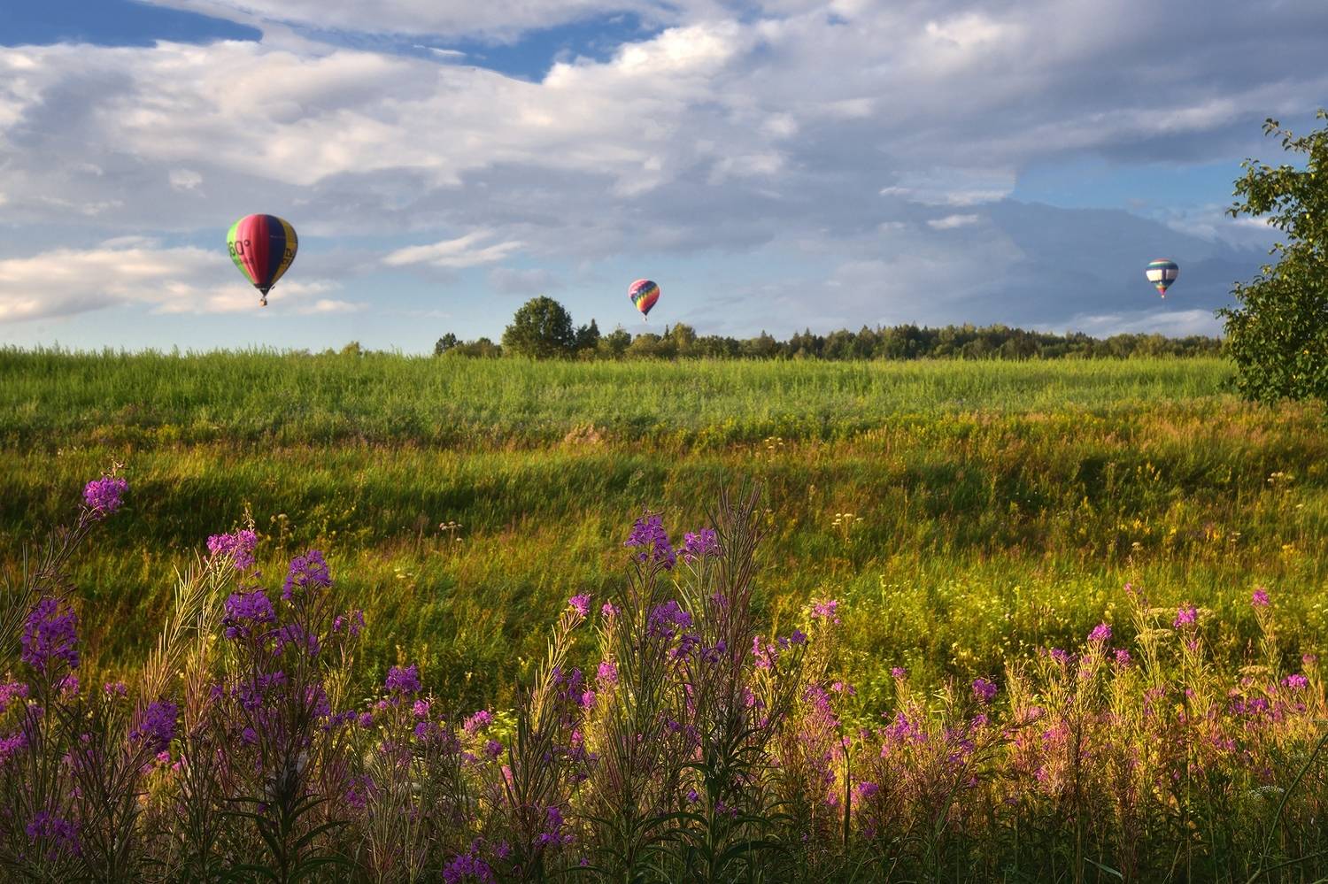 , Алексей Никонов