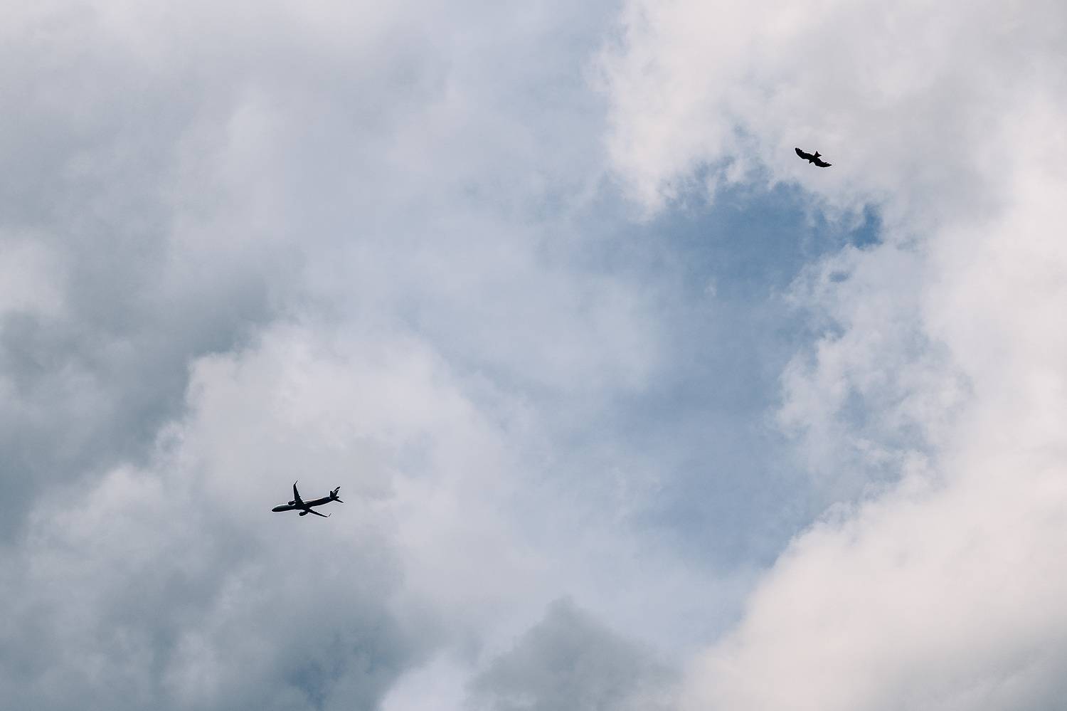 , Вадим Миронов