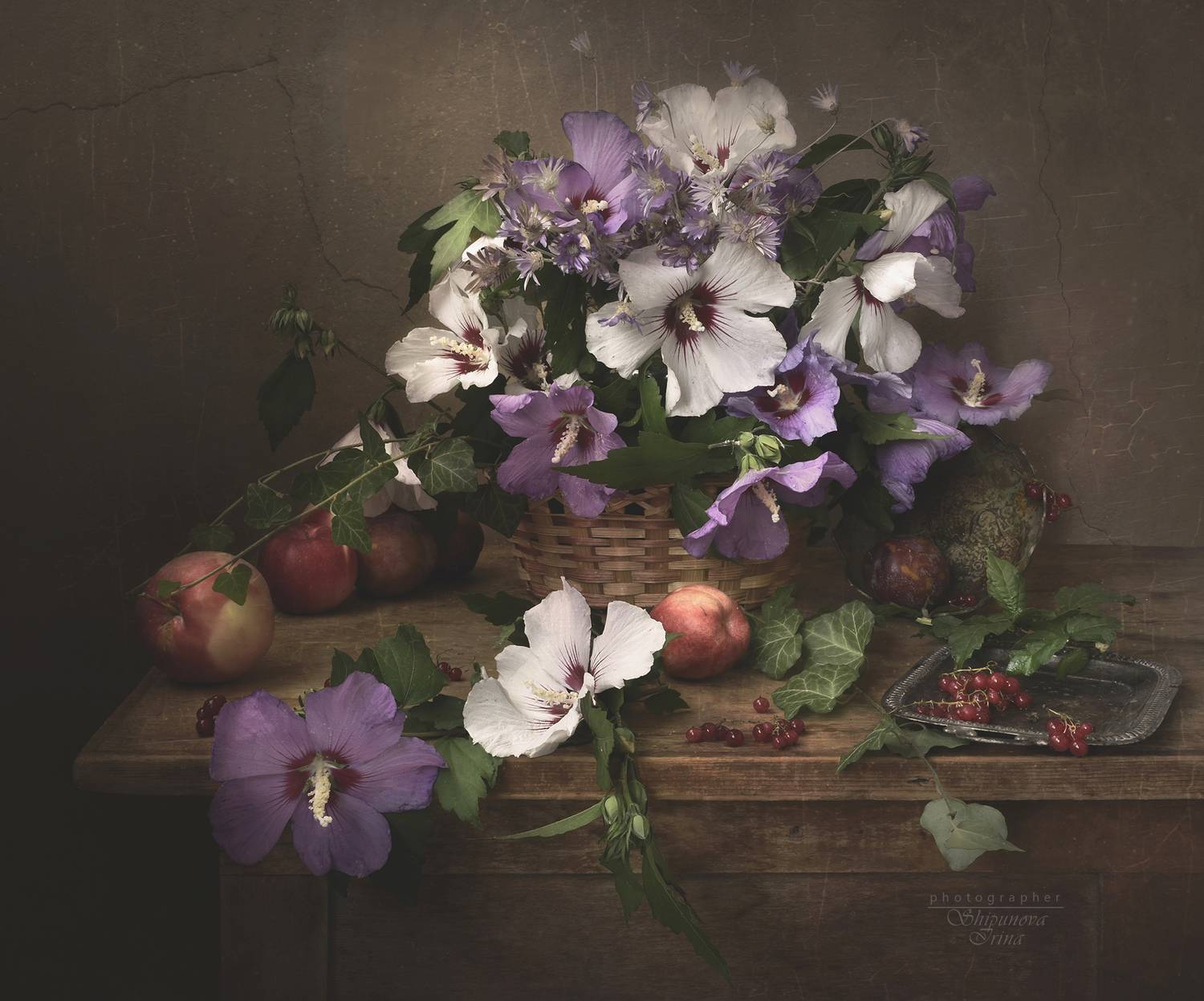 , Ирина Шипунова