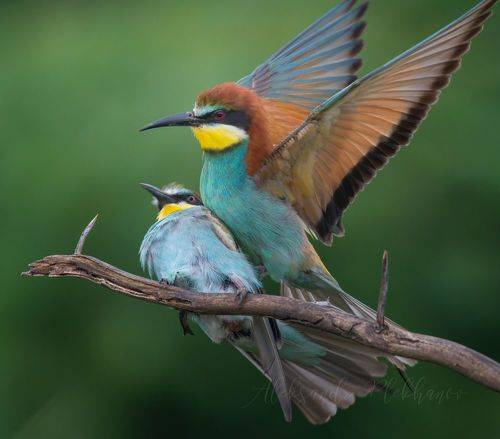 Наверное это любовь