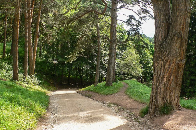 Кисловодск. Солнечный терренкур. фото превью