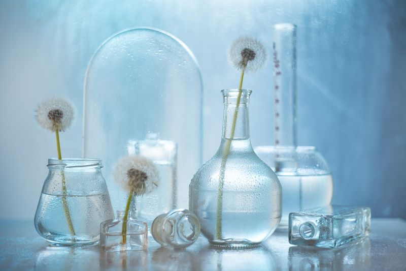 Весеннее утро. фото превью