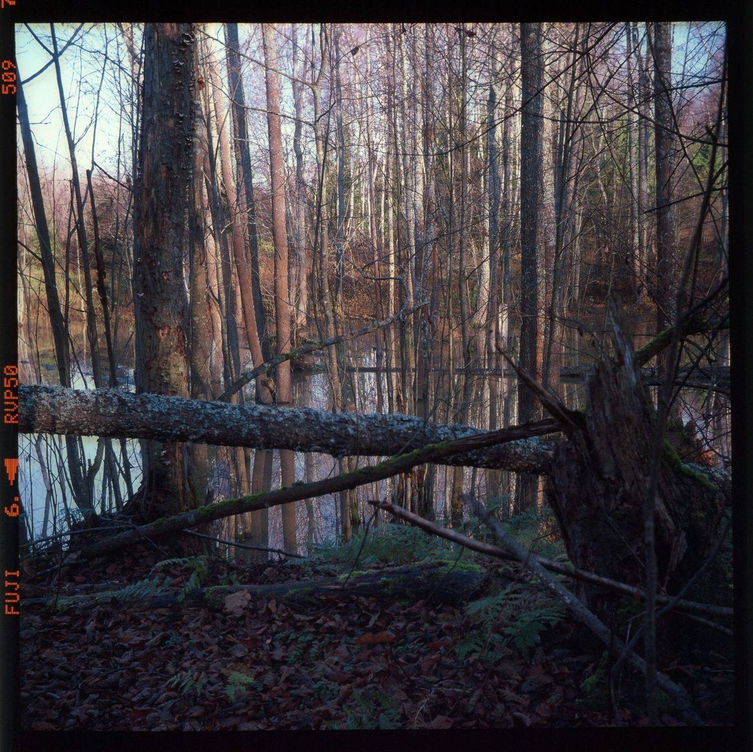 , Сизов Кирилл