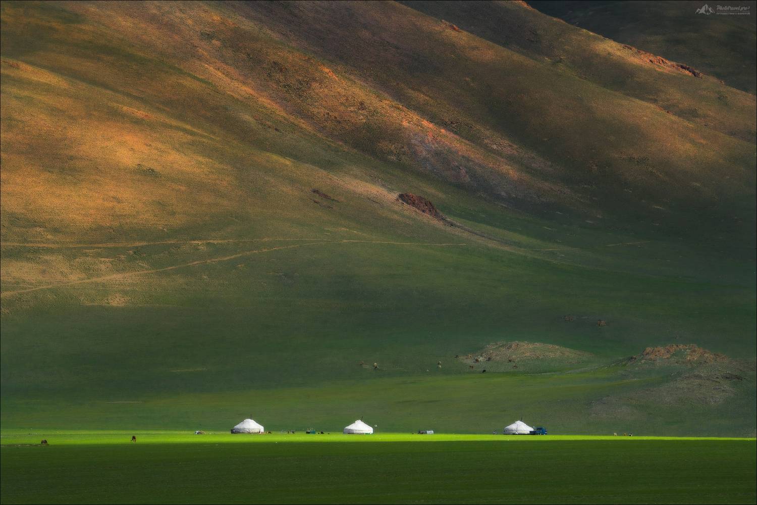 монголия, mongolia, монгольский алтай, алтай, западная монголия, пейзажи монголии, монгольский пейзаж, юрта, юрты, фототур в монголию,  nomad, golden eagle festival,беркутчи, Влад Соколовский