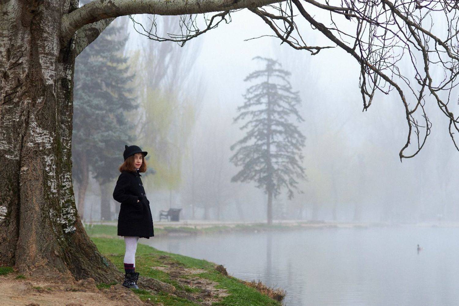 , Франгони Владимир