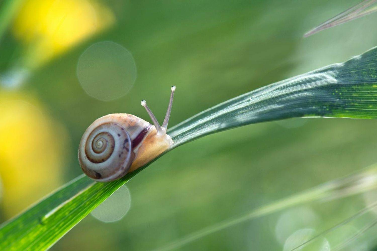 , Людмила Бекман