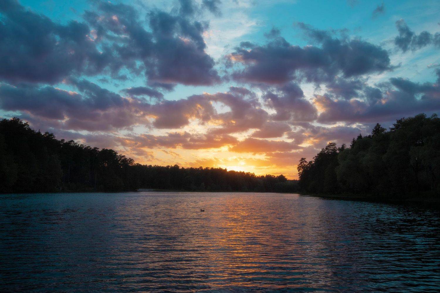 лес, закат, озеро, небо, Валерий Вождаев