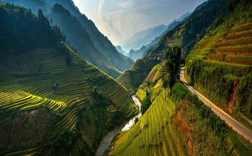Amazing rice terrace