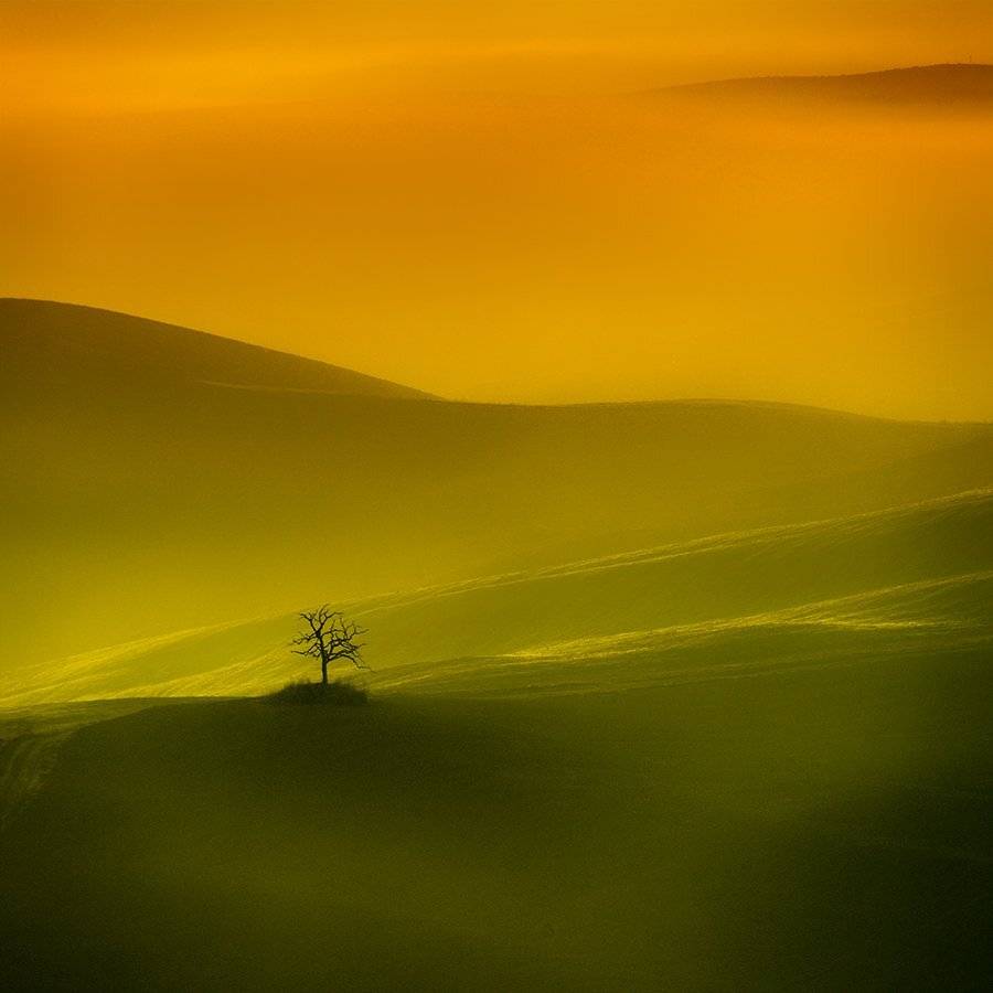 , Bogdan Panait
