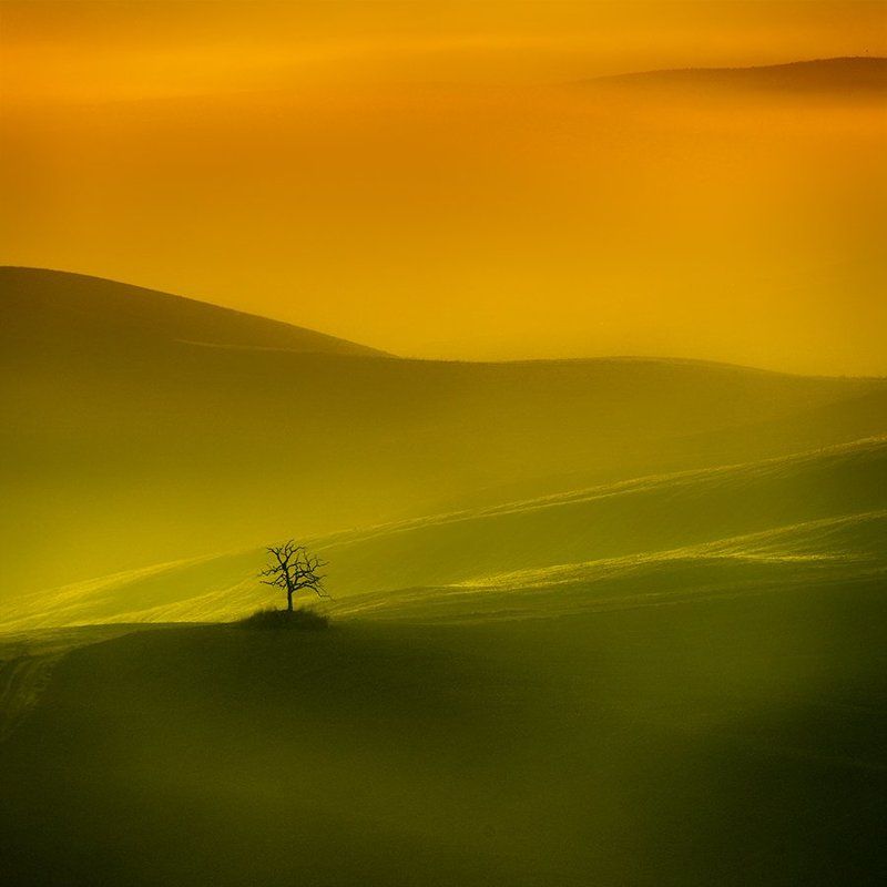 Tuscany фото превью