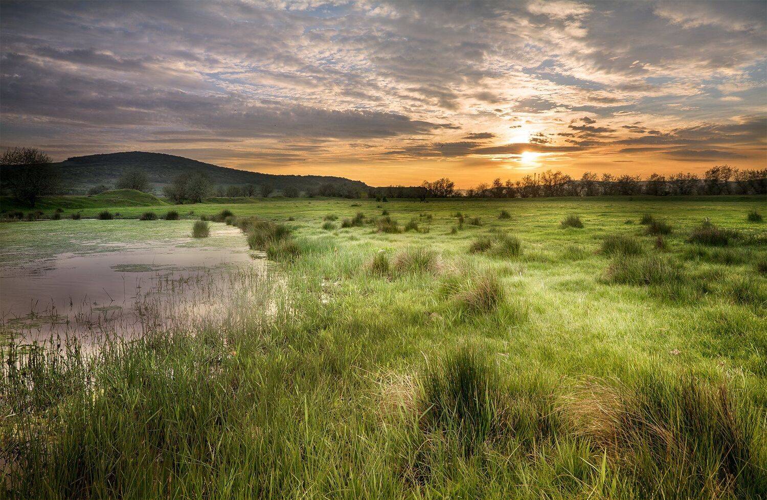 , Ева Йорданова
