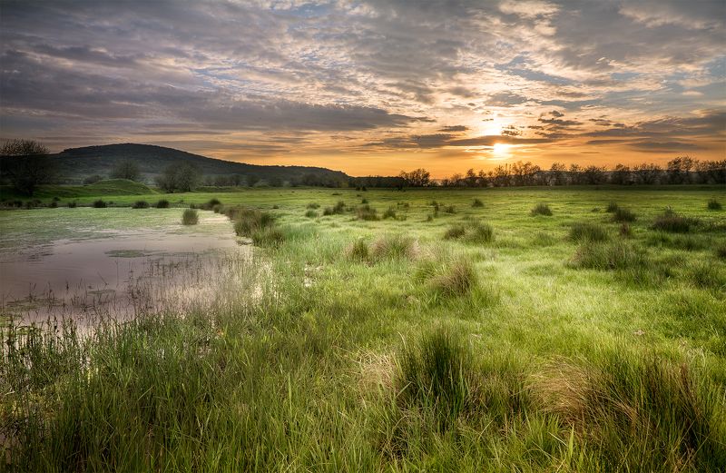 *** фото превью