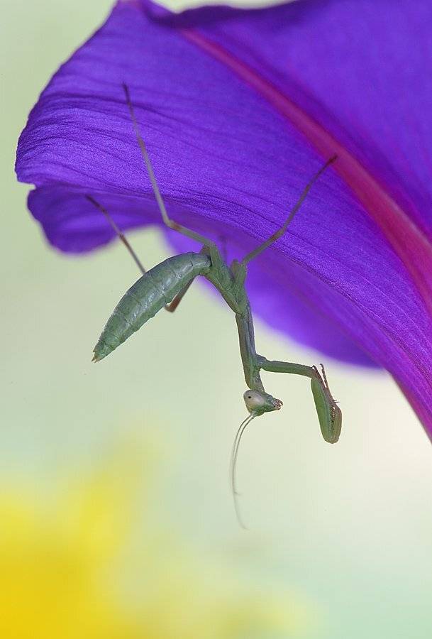 , Сергей Таланов
