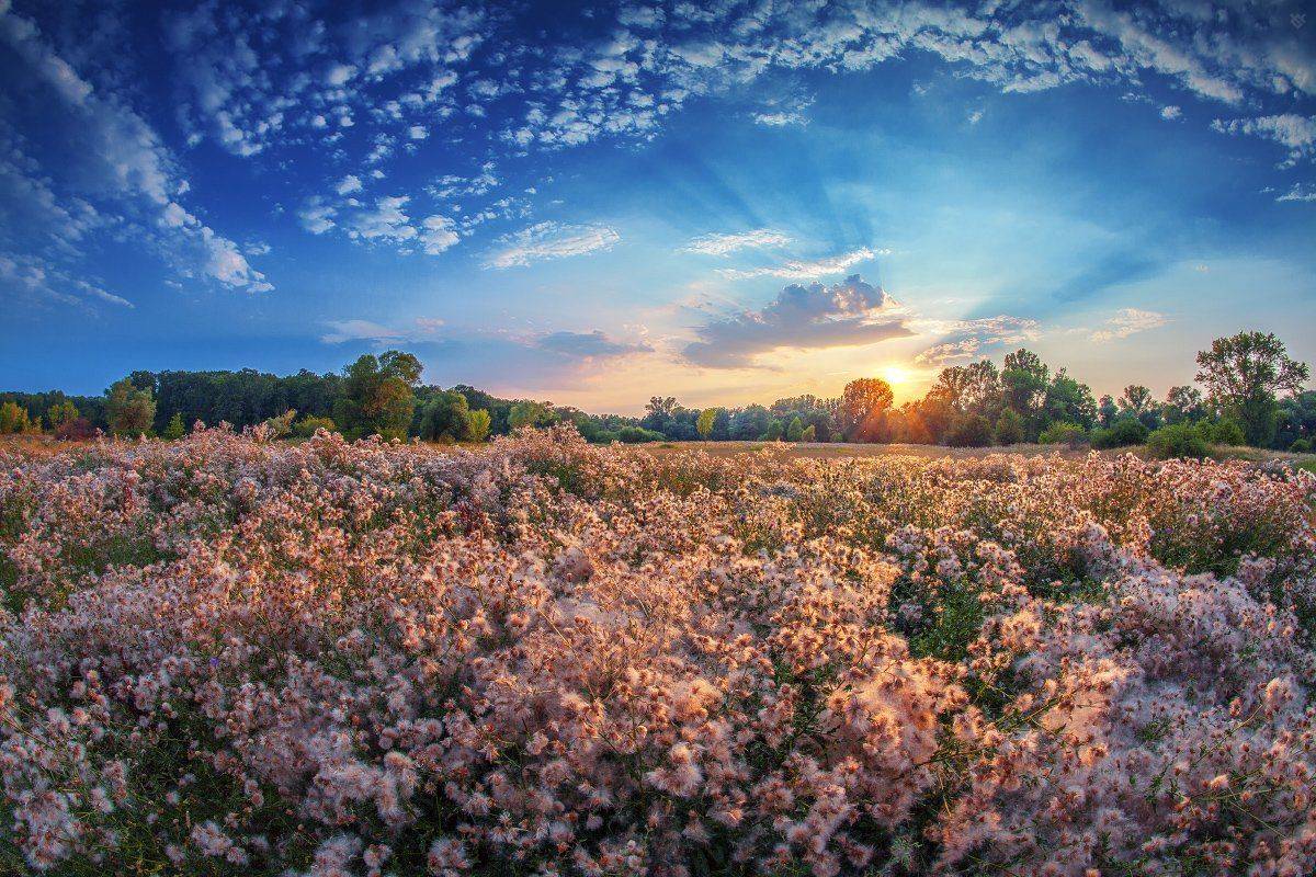 field, meadow, sunset, sky, clouds, Wojciech Grzanka