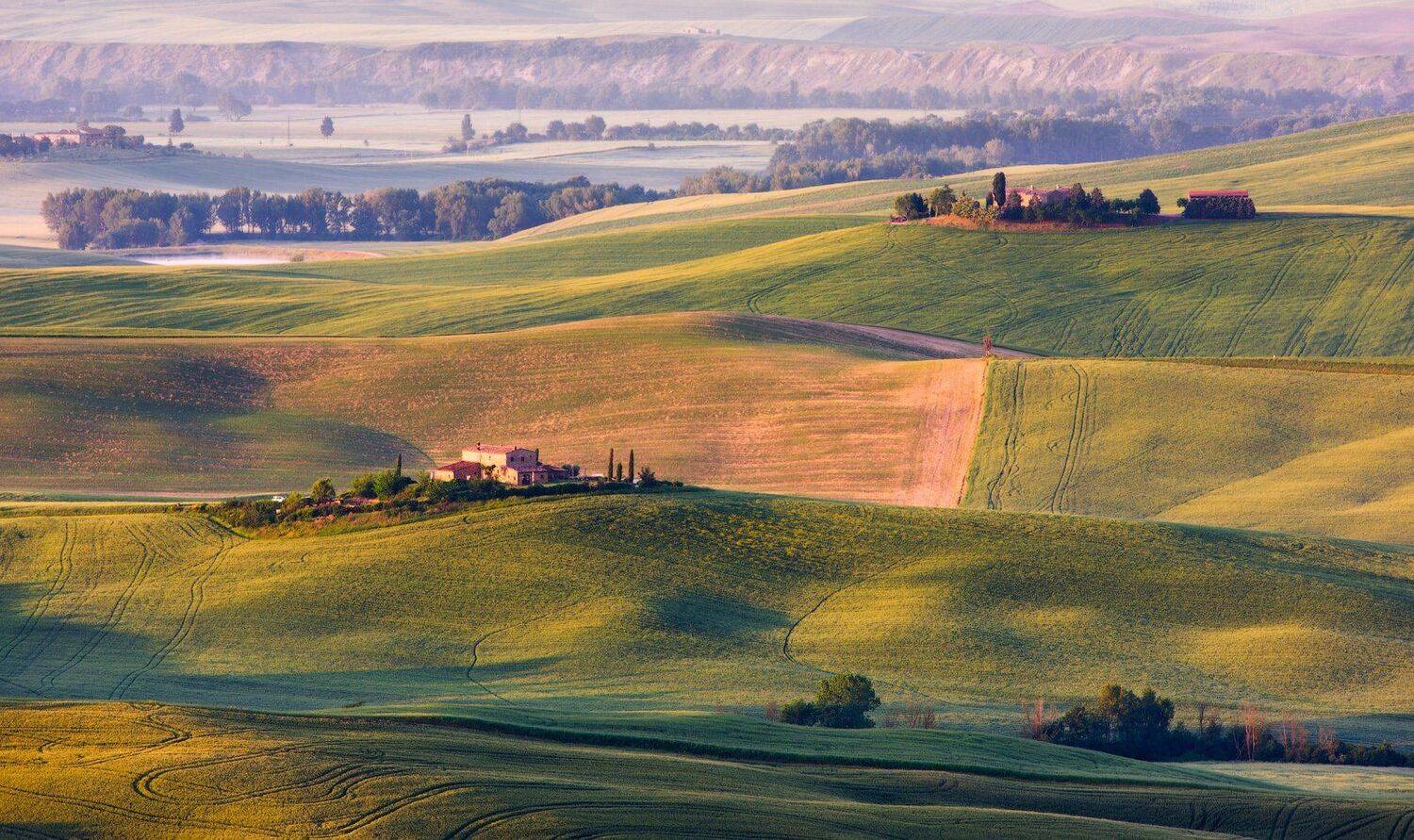 , Андрей Ведерников