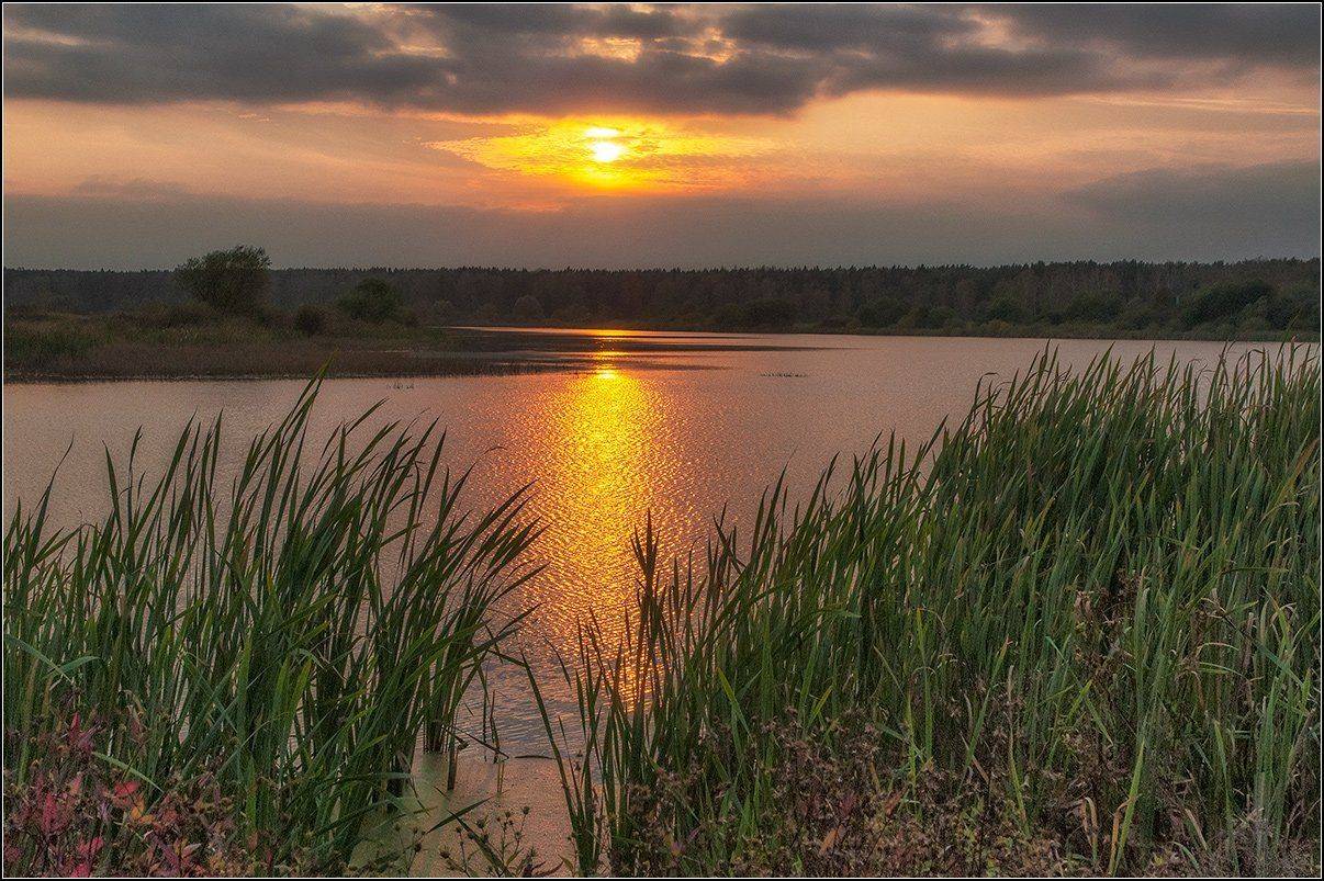 , АНАТОЛИЙ ДОВЫДЕНКО