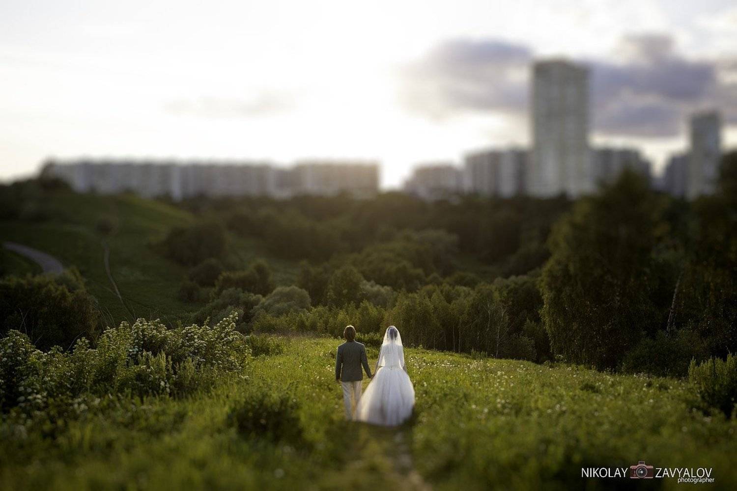 , Николай Завьялов