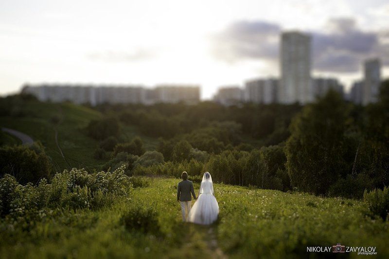 фото превью