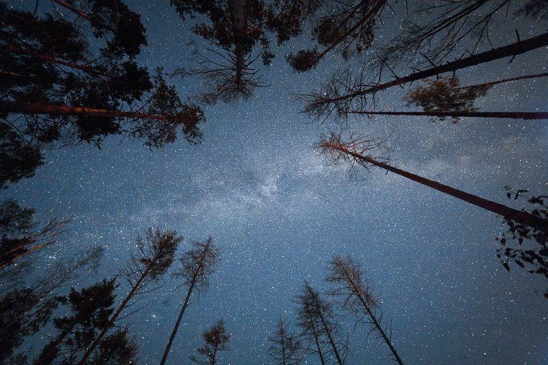 Август фото превью