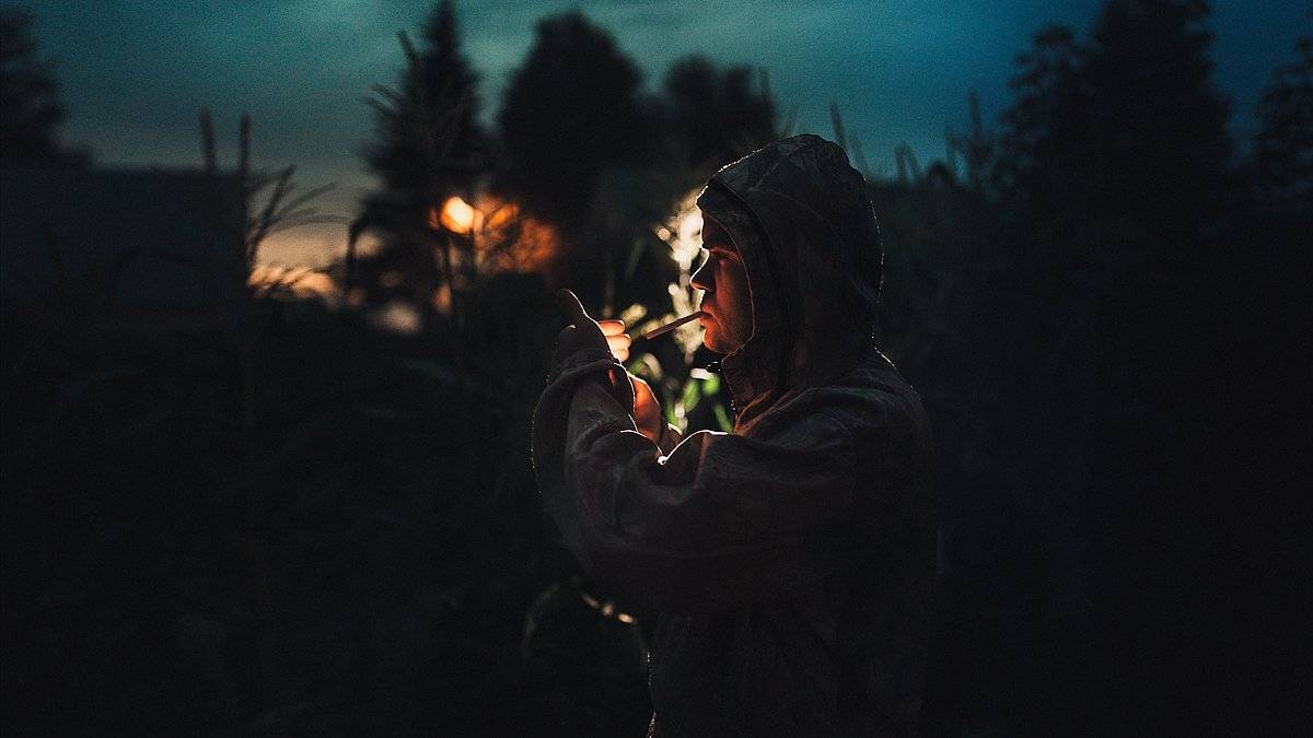 , Цвелёв Дмитрий