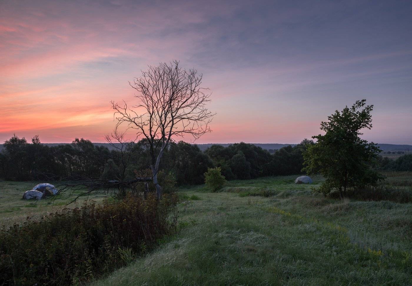 , Александр Бредихин