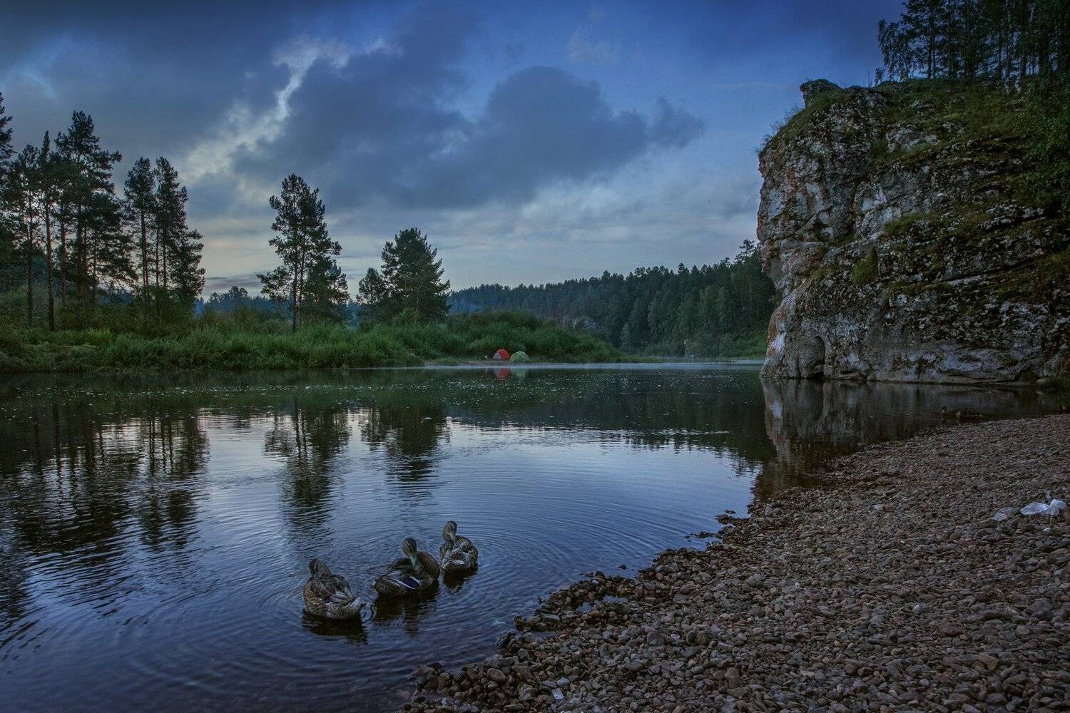 , Станислав Аристов