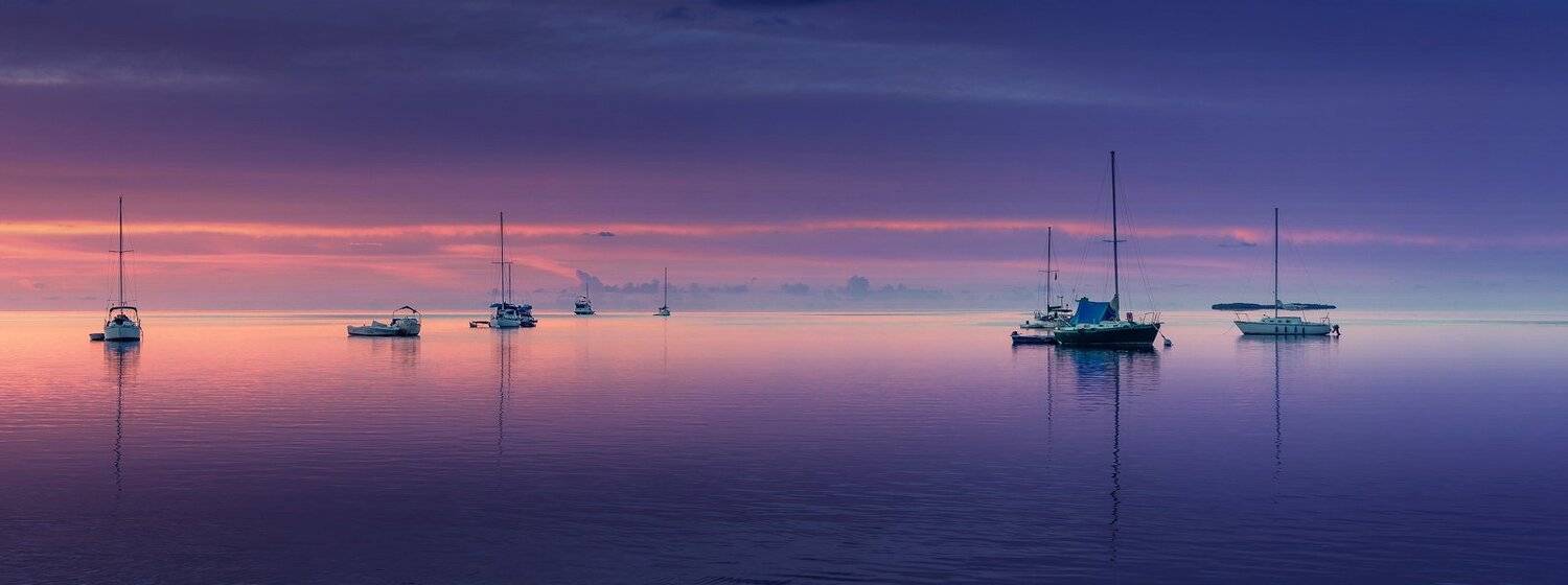 , Alexandru Popovschi