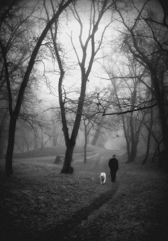 Парковая фото превью