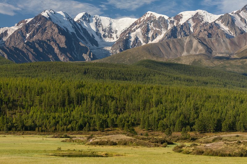 Алтай, Северо-Чуйский, лето Северо-Чуйский фото превью
