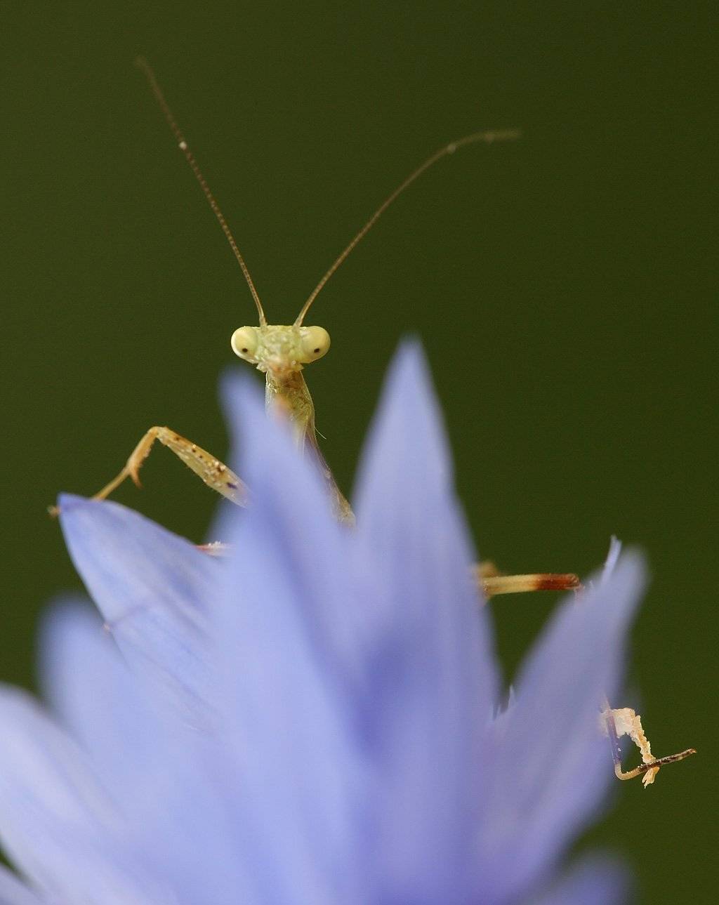 , Сергей Таланов