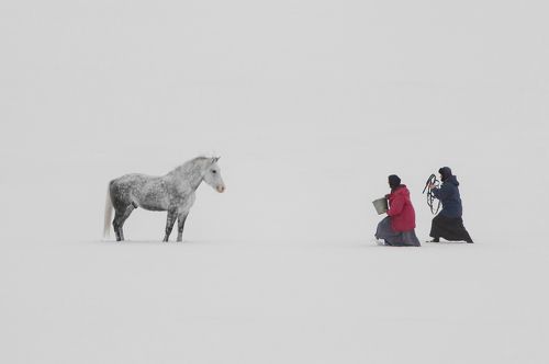 Кнут и пряник