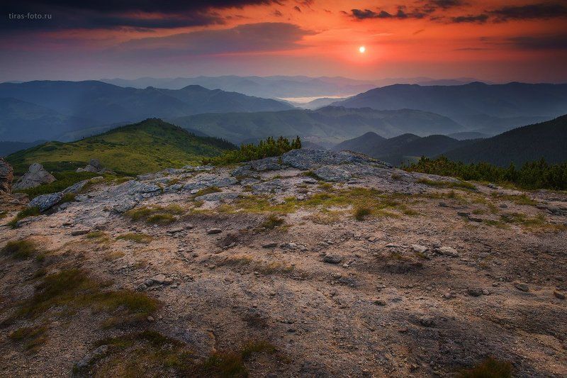 Карпаты, горы, рассвет, лето Рассвет на Вухатом камне фото превью