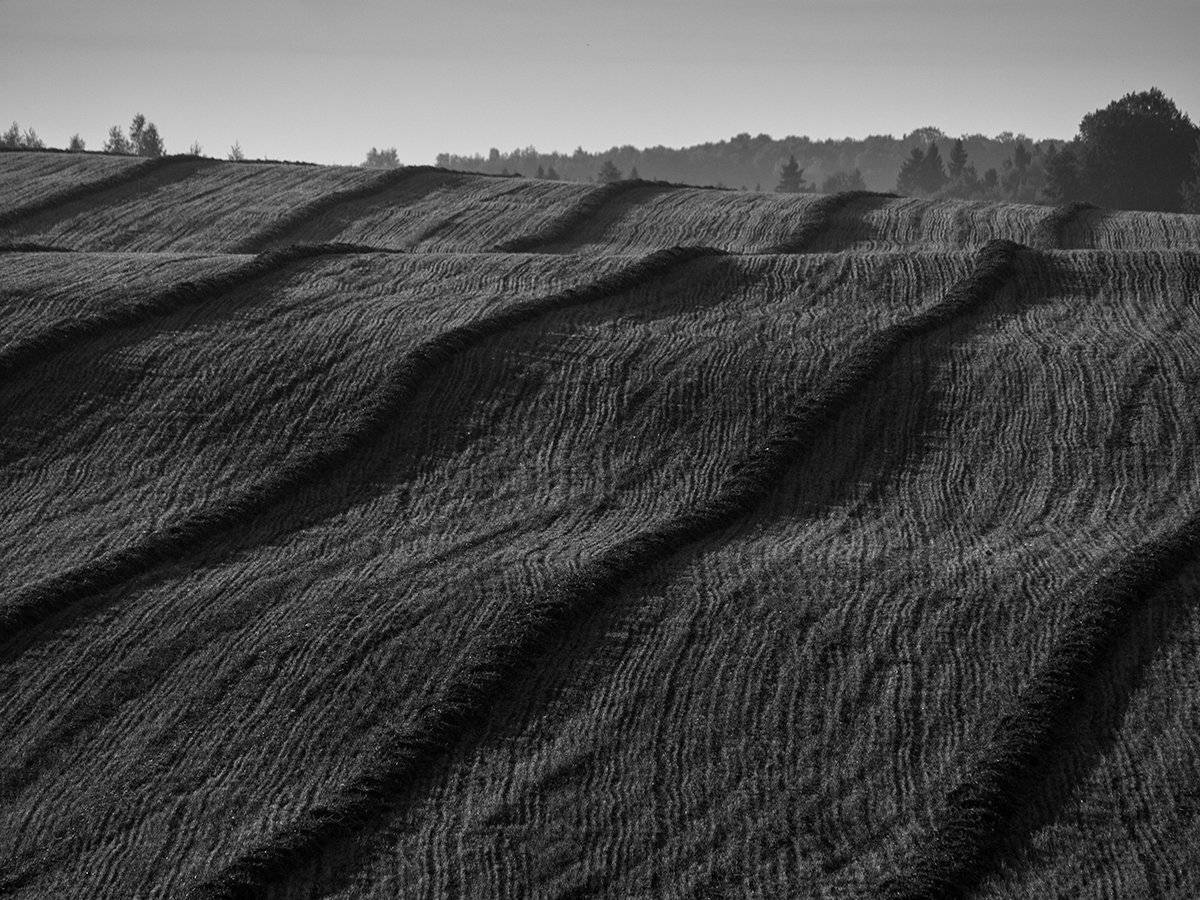 , Владимир Перепечаев