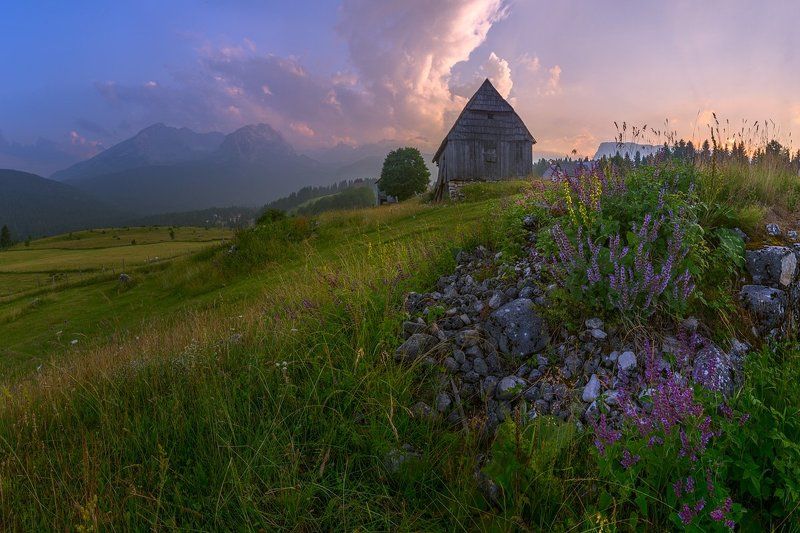 Какого цвета горы в Черногории? Дурмитор. фото превью