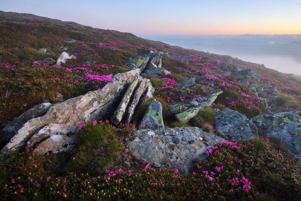 , Ярослав Тюрменко (Jaremi)