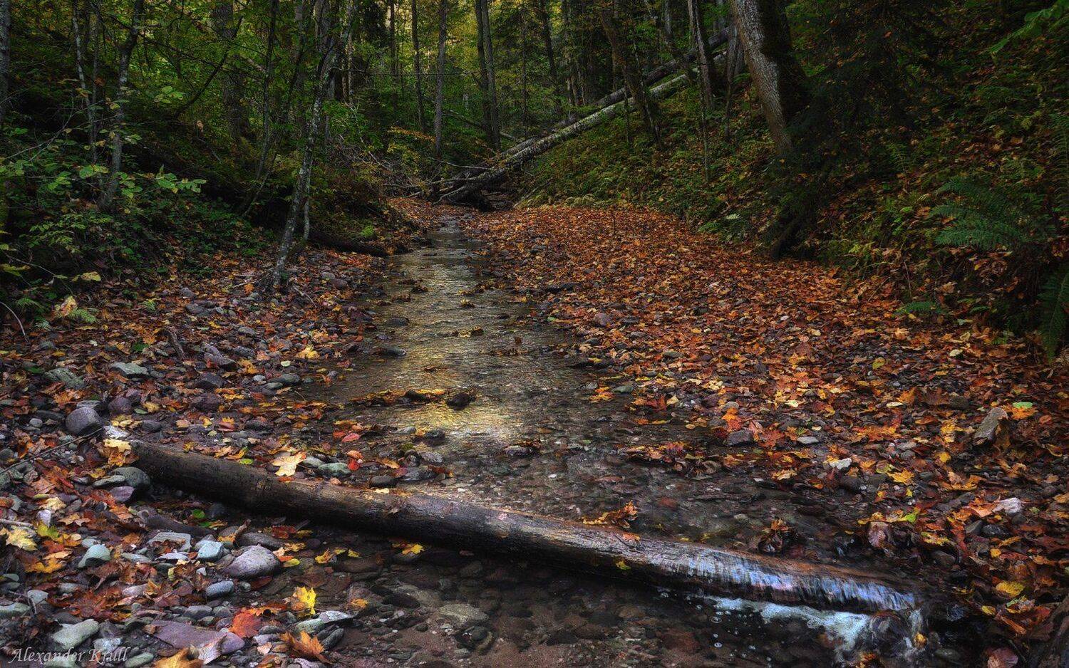 кавказ, кчр, Александр Круль