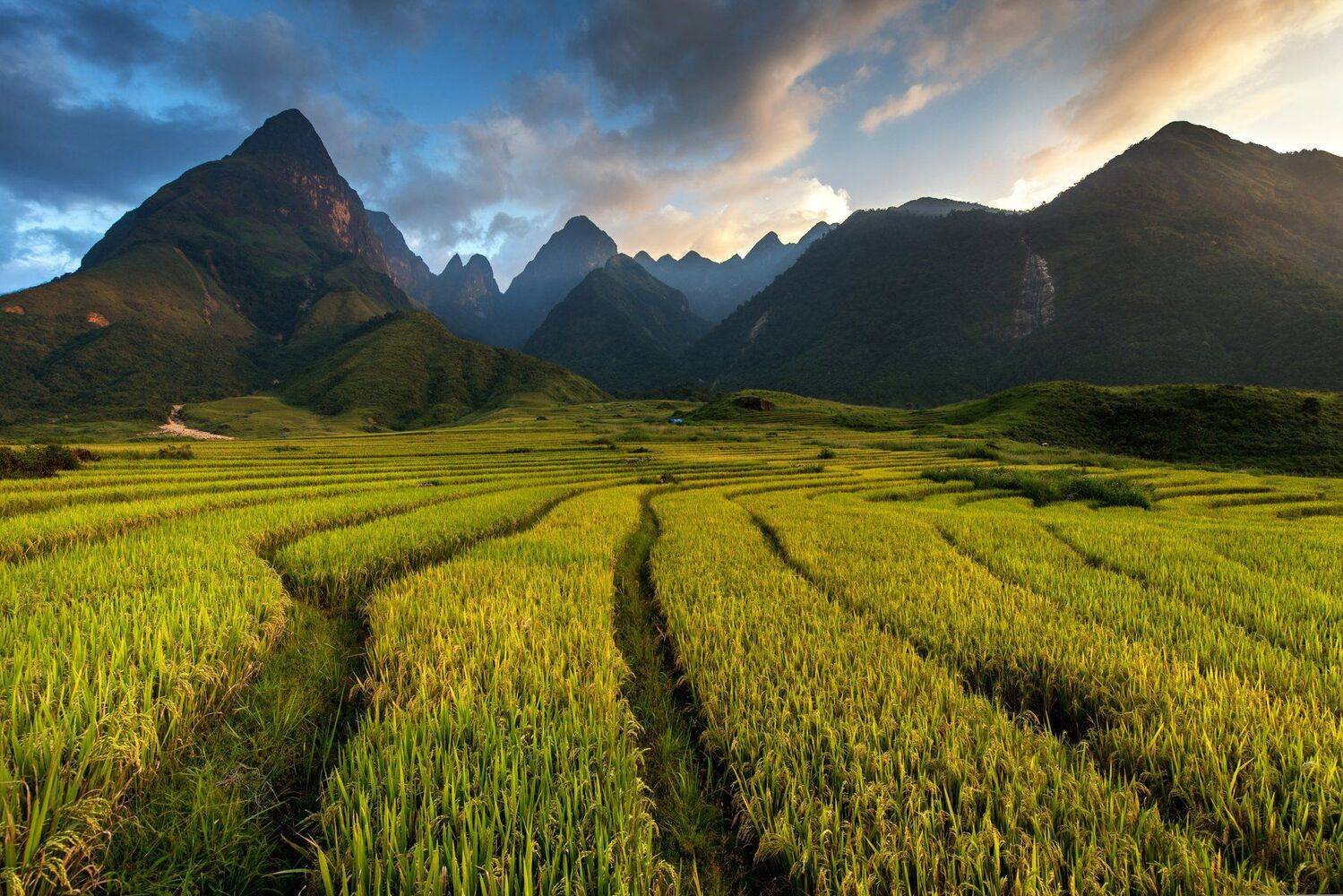Vietnam, Mountain, Cloud - Sky, Color Image, Dusk, Field, Green Color, Growth, Horizontal, Nature, No People, Outdoors, Photography, Scenics, Sky, Tranquil Scene, sarawut intarob