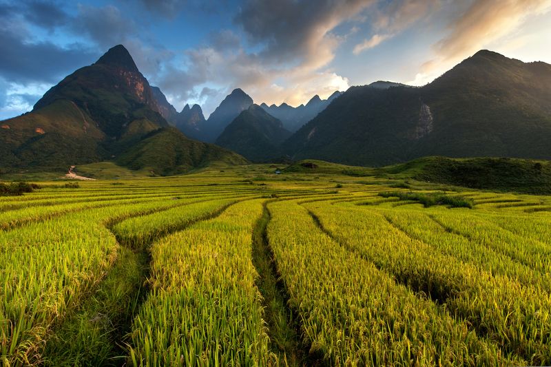 Vietnam, Mountain, Cloud - Sky, Color Image, Dusk, Field, Green Color, Growth, Horizontal, Nature, No People, Outdoors, Photography, Scenics, Sky, Tranquil Scene Mt Fansipan .....3143m. Vietnam фото превью