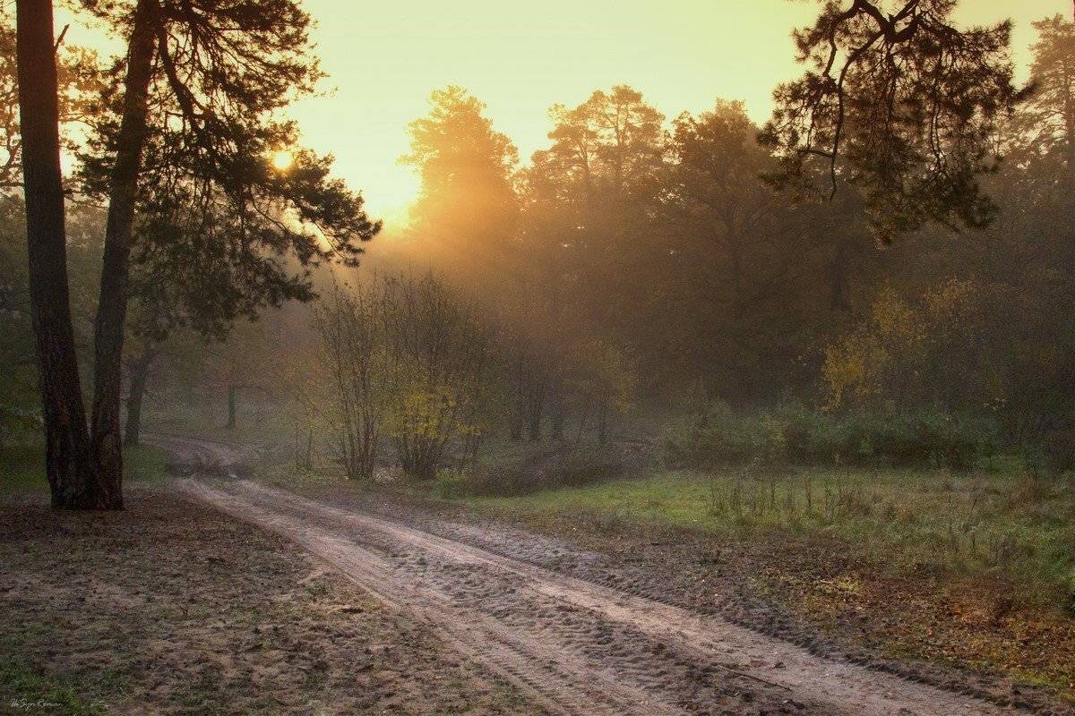 , Роман Красов