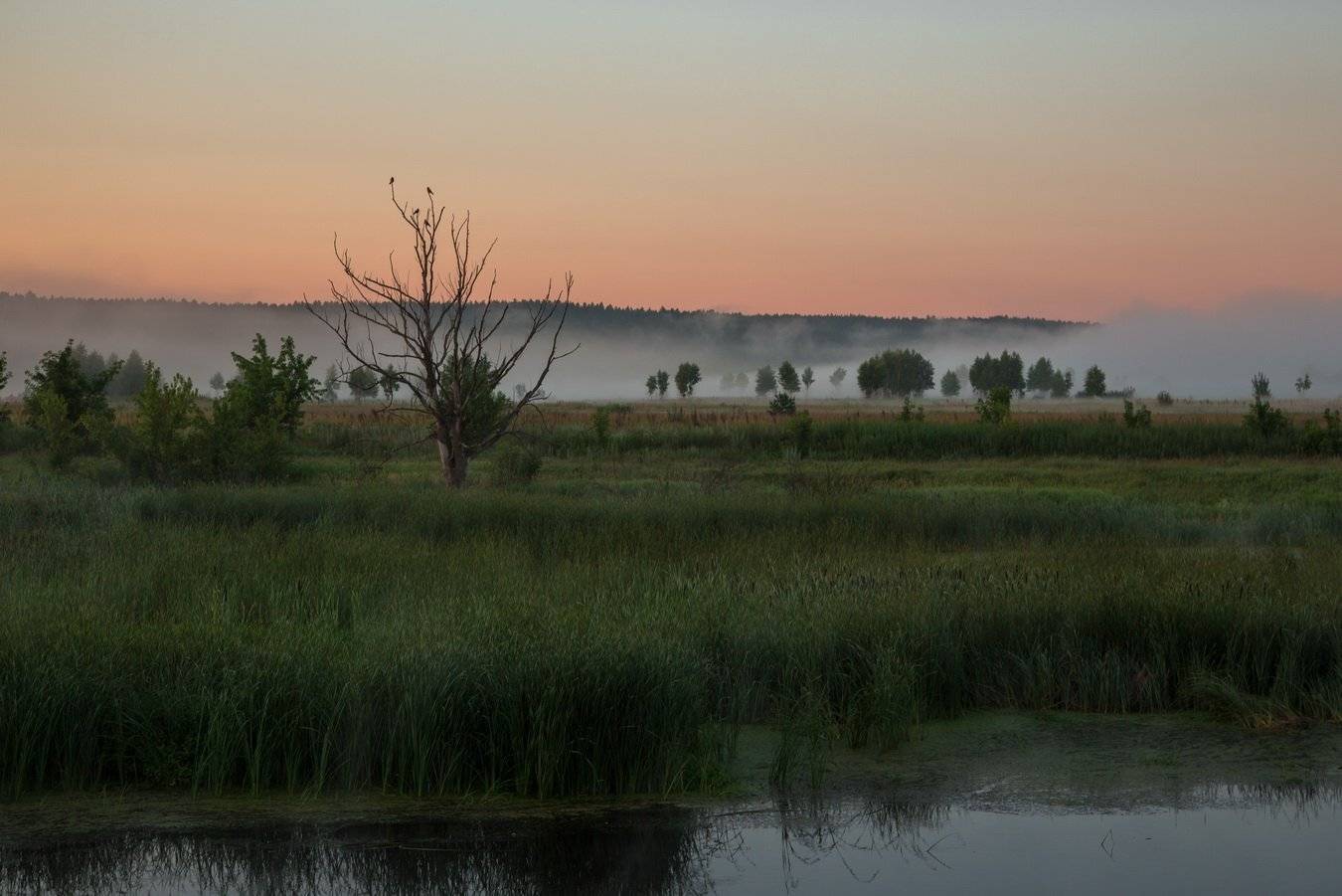 , Александр Бредихин