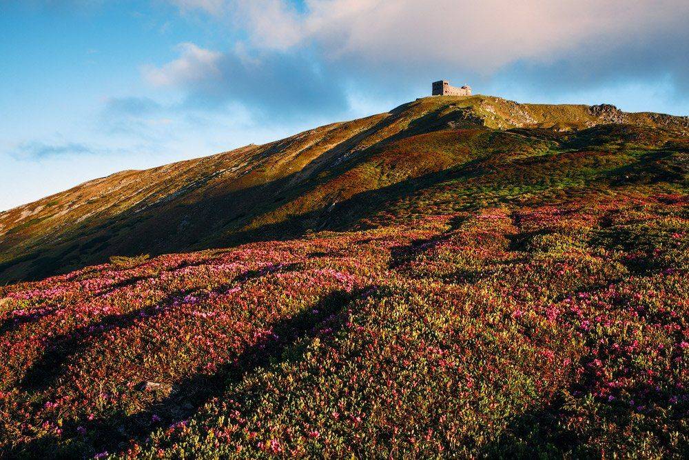 , Ярослав Тюрменко (Jaremi)