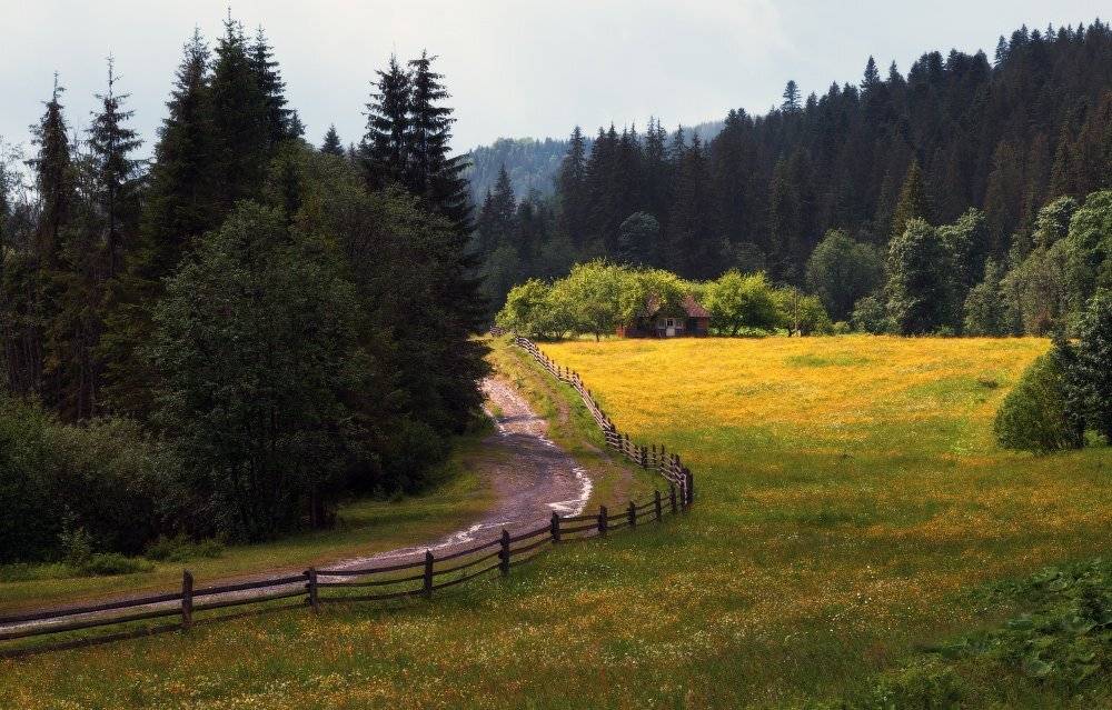 , Ярослав Тюрменко (Jaremi)