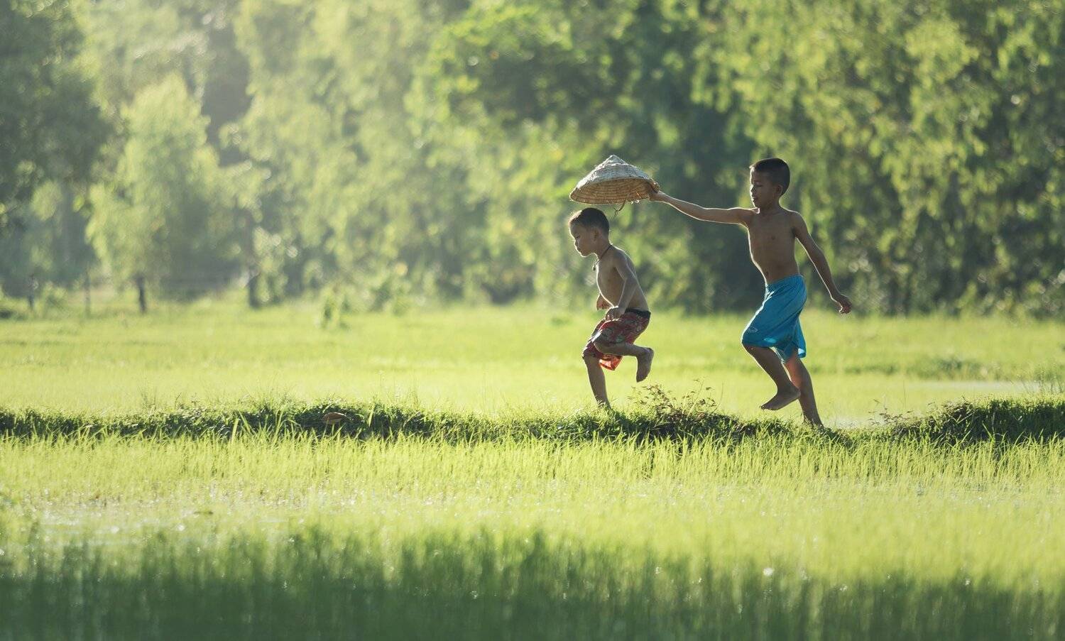 little boy; asia; asian; Thailand; people; peoples; life; lifestyles; running; boys; Action; fields; green; tree; happines; adorable; beautiful; beauty; blond; bow; caucasian; child; childhood; country; cute; dress; emotional; female; flower; fun; girl; g, SUTIPORN SOMNAM