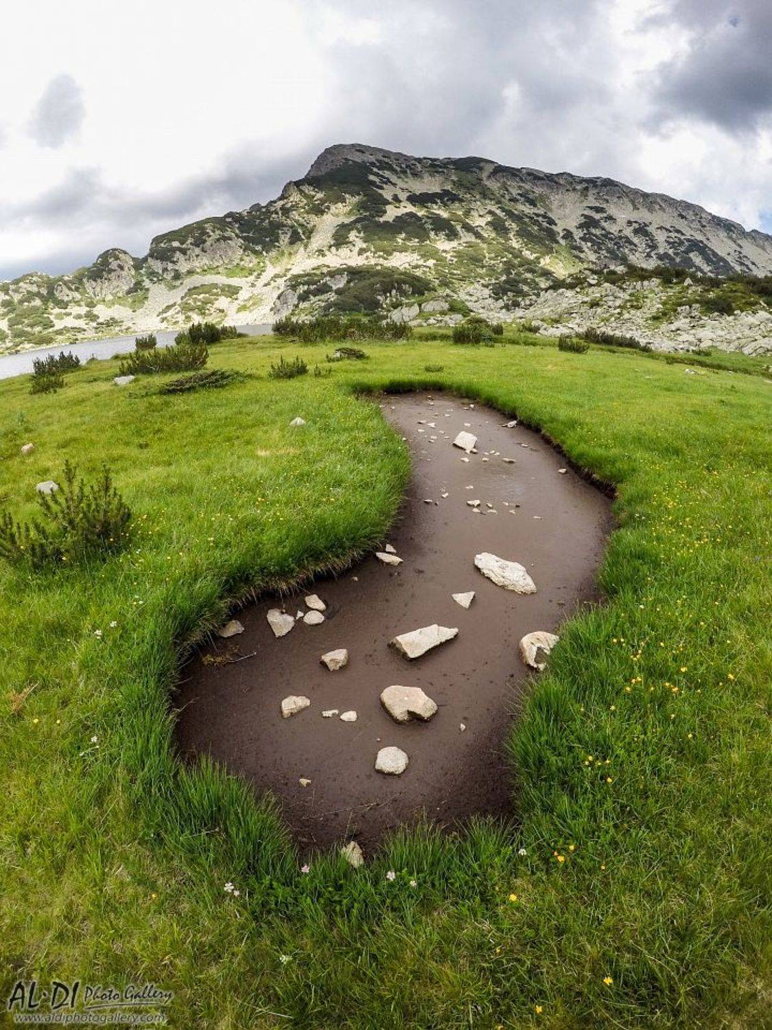 pirin,bulgaria,mountain,green,gopro, Александър Димитров