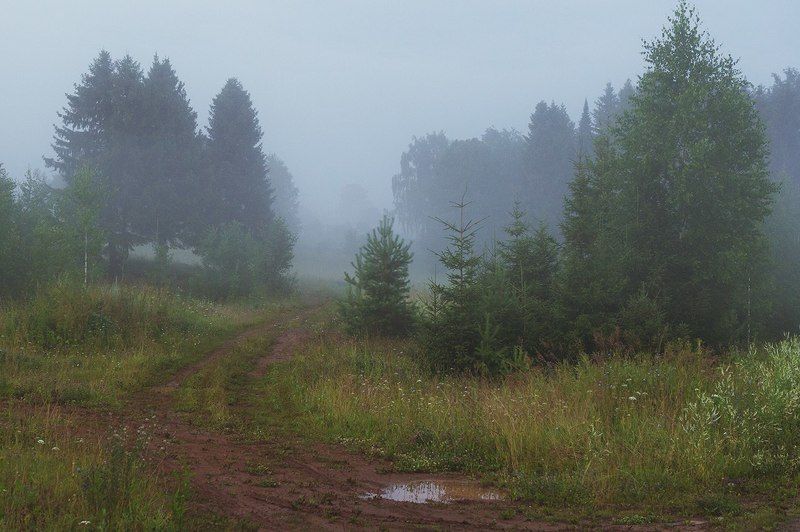 удмуртия, туман, утро, лес Туманное утро фото превью