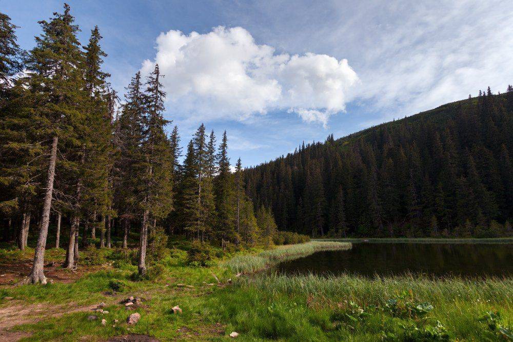 , Ярослав Тюрменко (Jaremi)